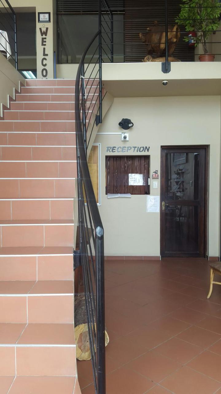 Kleines Nest Bed And Breakfast 鲸湾港 外观 照片